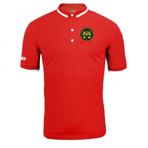 copy of Polo rappresentanza...